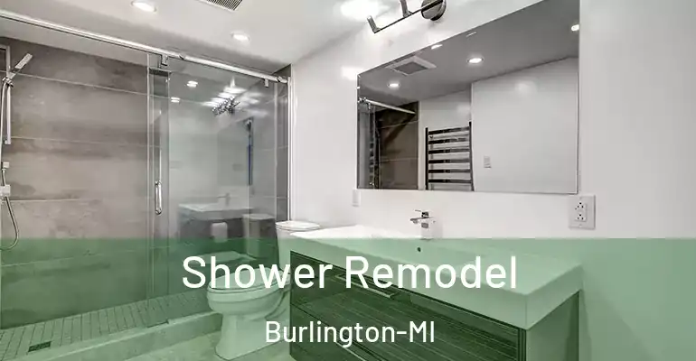 inner Bathroom imggen Shower Remodel Burlington-MI