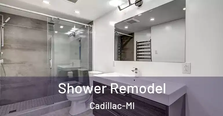 inner Bathroom imggen Shower Remodel Cadillac-MI