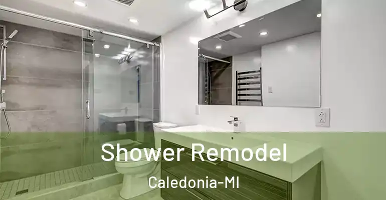 inner Bathroom imggen Shower Remodel Caledonia-MI