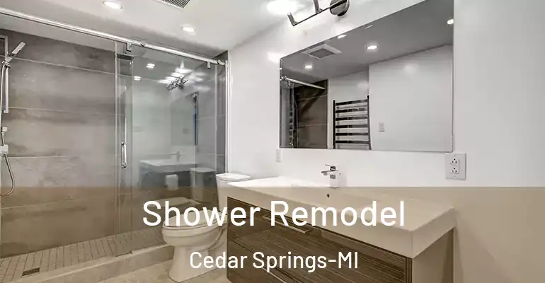 inner Bathroom imggen Shower Remodel Cedar Springs-MI