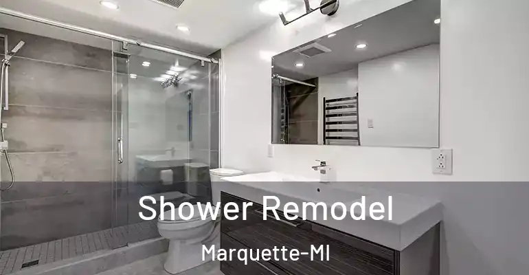 inner Bathroom imggen Shower Remodel Marquette-MI