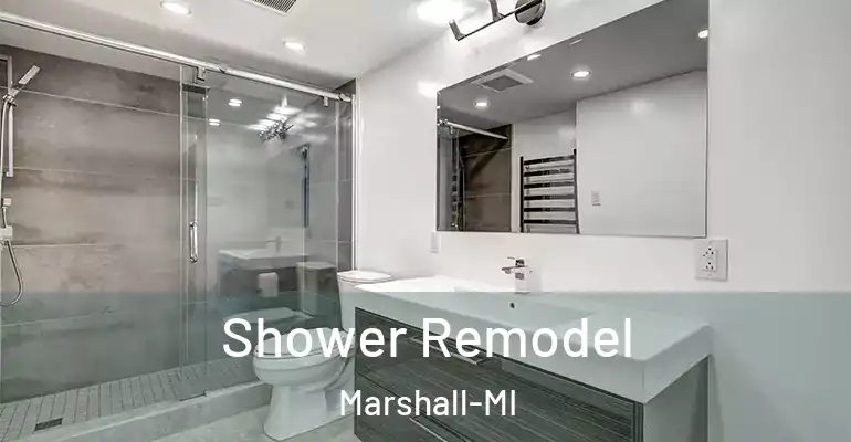 inner Bathroom imggen Shower Remodel Marshall-MI