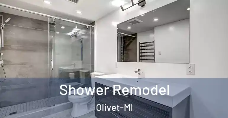 inner Bathroom imggen Shower Remodel Olivet-MI