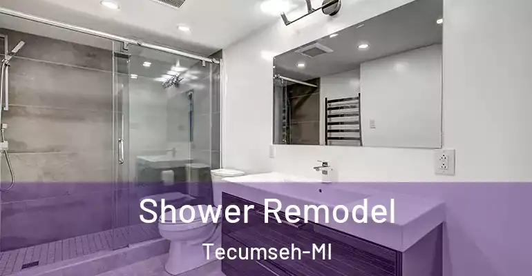 inner Bathroom imggen Shower Remodel Tecumseh-MI