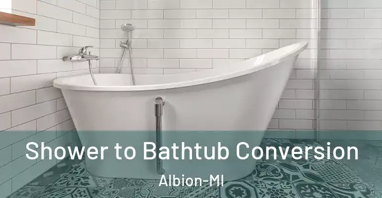 inner Bathroom imggen Shower to Bathtub Conversion Albion-MI