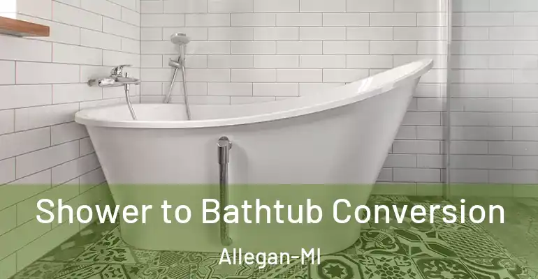 inner Bathroom imggen Shower to Bathtub Conversion Allegan-MI