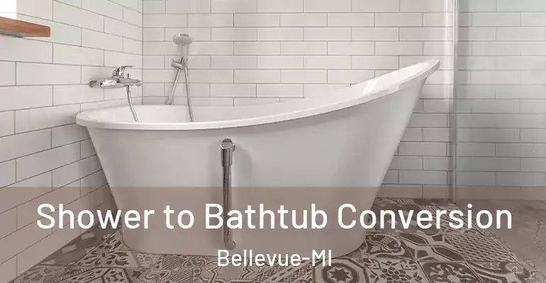 inner Bathroom imggen Shower to Bathtub Conversion Bellevue-MI