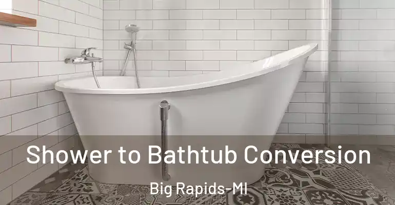 inner Bathroom imggen Shower to Bathtub Conversion Big Rapids-MI