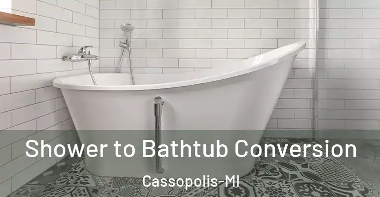 inner Bathroom imggen Shower to Bathtub Conversion Cassopolis-MI