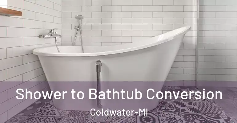 inner Bathroom imggen Shower to Bathtub Conversion Coldwater-MI