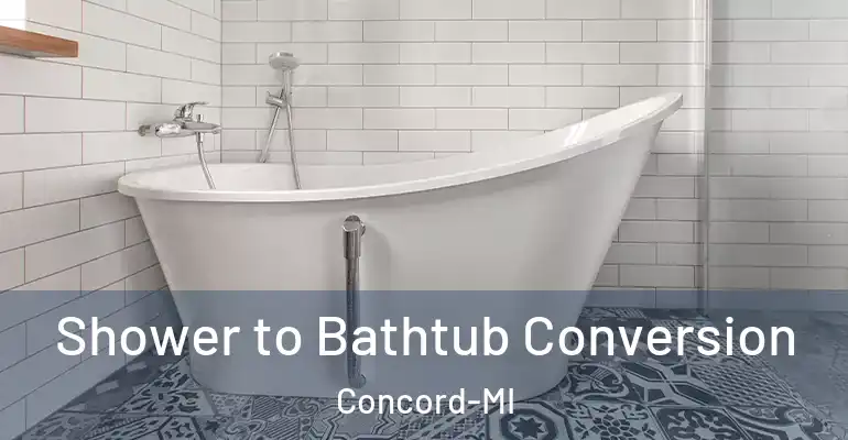 inner Bathroom imggen Shower to Bathtub Conversion Concord-MI