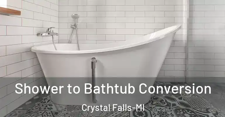 inner Bathroom imggen Shower to Bathtub Conversion Crystal Falls-MI