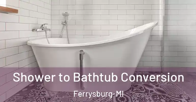 inner Bathroom imggen Shower to Bathtub Conversion Ferrysburg-MI