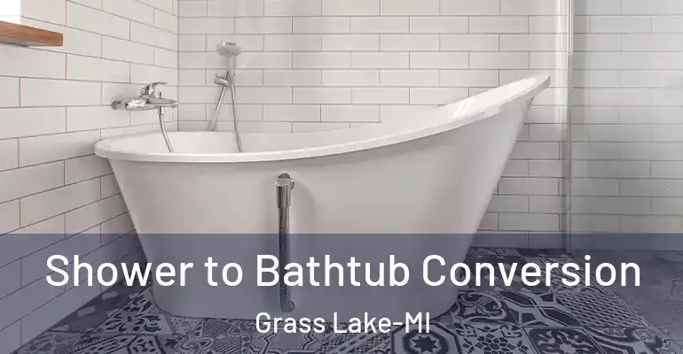 inner Bathroom imggen Shower to Bathtub Conversion Grass Lake-MI