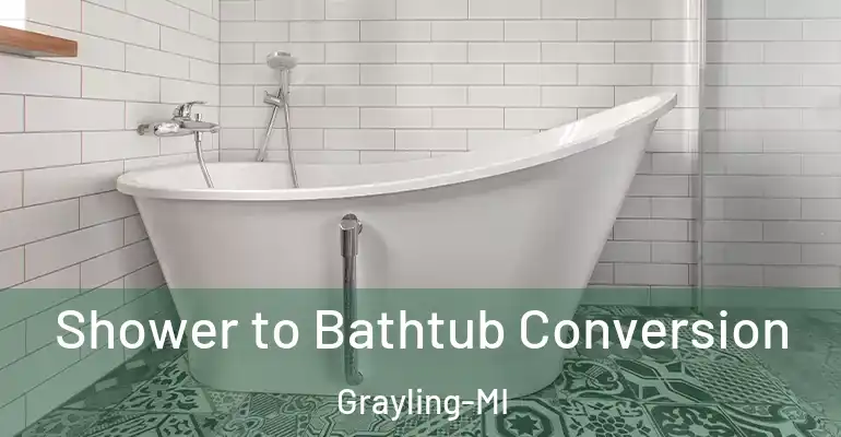 inner Bathroom imggen Shower to Bathtub Conversion Grayling-MI