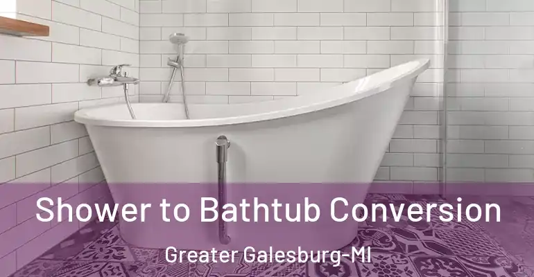 inner Bathroom imggen Shower to Bathtub Conversion Greater Galesburg-MI