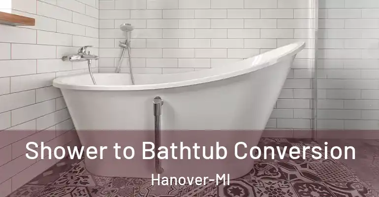 inner Bathroom imggen Shower to Bathtub Conversion Hanover-MI