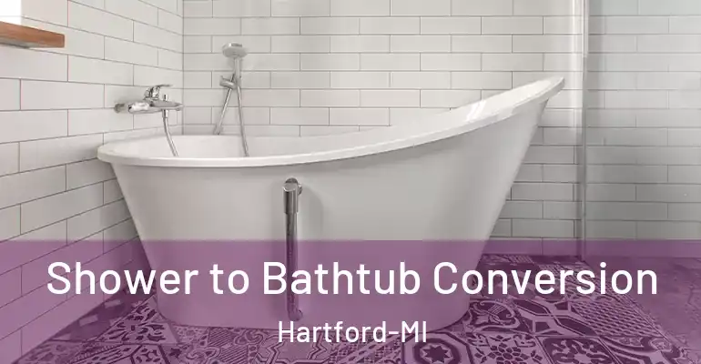 inner Bathroom imggen Shower to Bathtub Conversion Hartford-MI