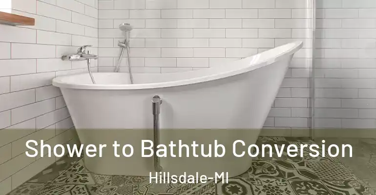 inner Bathroom imggen Shower to Bathtub Conversion Hillsdale-MI