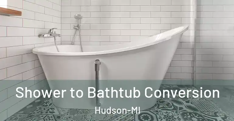 inner Bathroom imggen Shower to Bathtub Conversion Hudson-MI