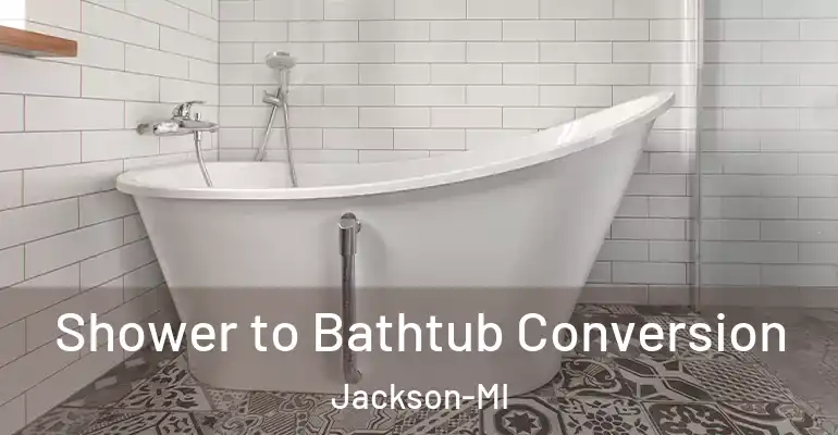 inner Bathroom imggen Shower to Bathtub Conversion Jackson-MI