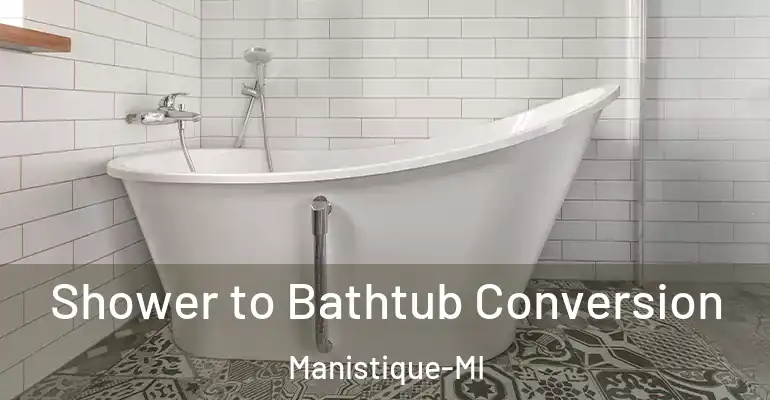 inner Bathroom imggen Shower to Bathtub Conversion Manistique-MI