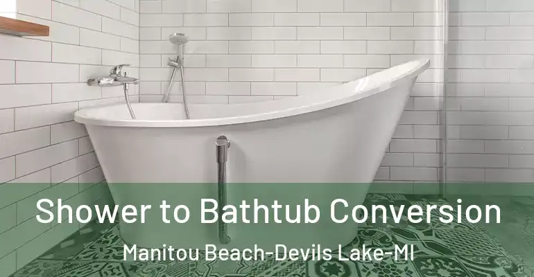 inner Bathroom imggen Shower to Bathtub Conversion Manitou Beach-Devils Lake-MI