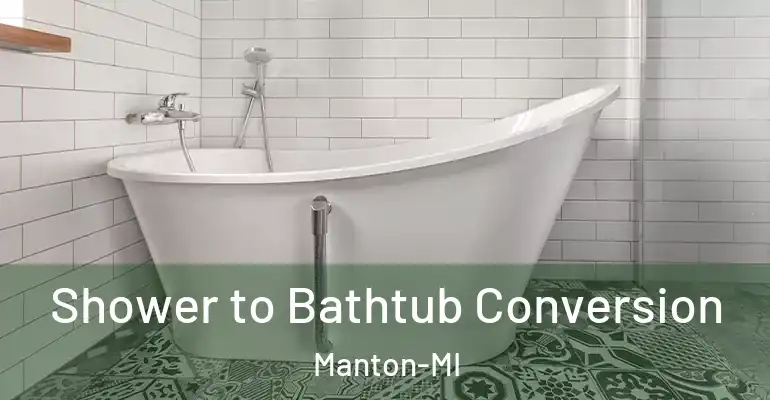 inner Bathroom imggen Shower to Bathtub Conversion Manton-MI