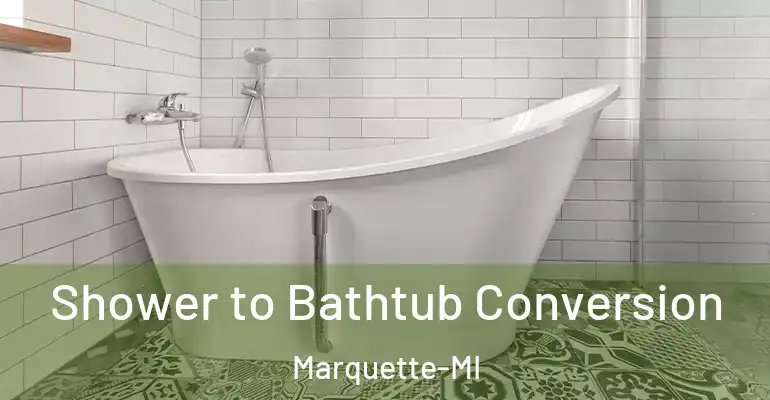 inner Bathroom imggen Shower to Bathtub Conversion Marquette-MI