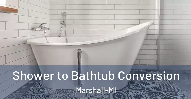 inner Bathroom imggen Shower to Bathtub Conversion Marshall-MI