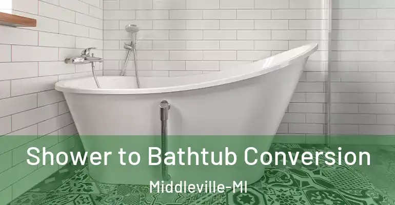 inner Bathroom imggen Shower to Bathtub Conversion Middleville-MI