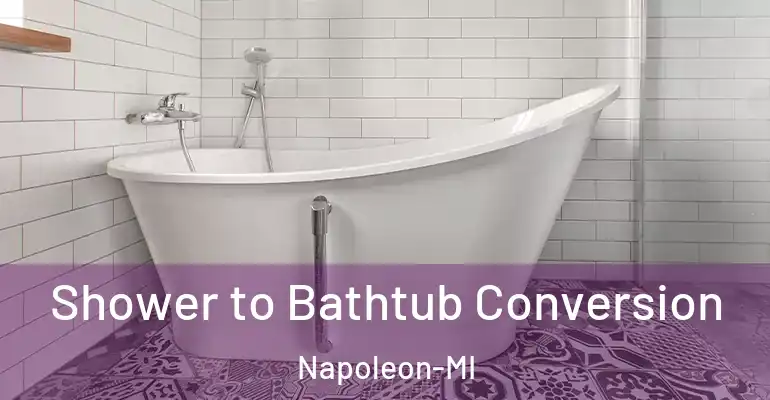 inner Bathroom imggen Shower to Bathtub Conversion Napoleon-MI