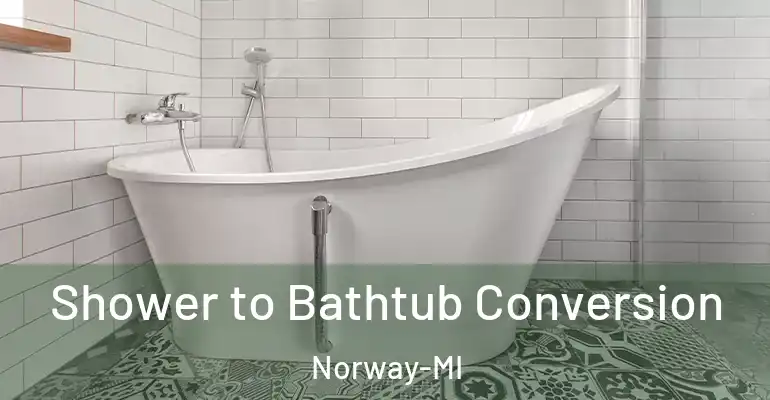 inner Bathroom imggen Shower to Bathtub Conversion Norway-MI