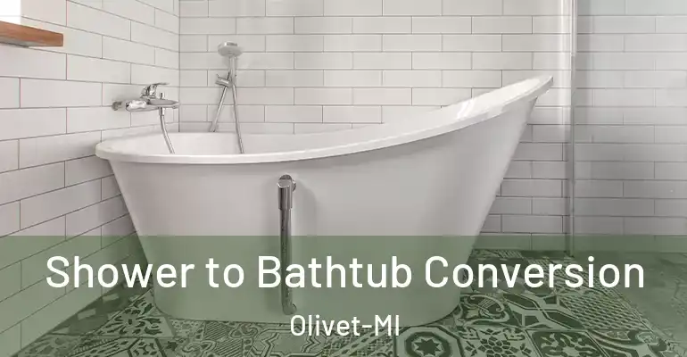 inner Bathroom imggen Shower to Bathtub Conversion Olivet-MI