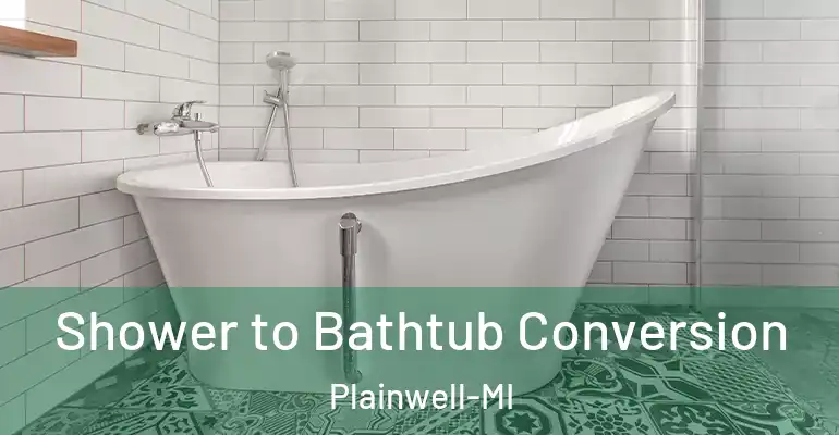 inner Bathroom imggen Shower to Bathtub Conversion Plainwell-MI