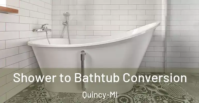 inner Bathroom imggen Shower to Bathtub Conversion Quincy-MI