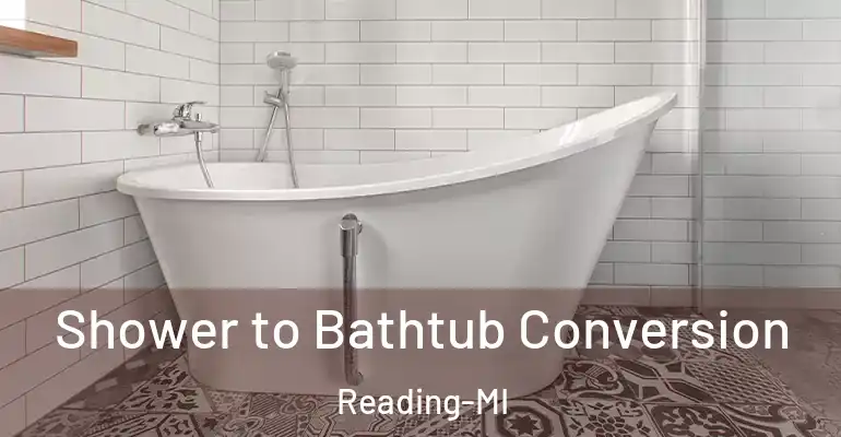 inner Bathroom imggen Shower to Bathtub Conversion Reading-MI