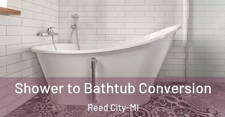 inner Bathroom imggen Shower to Bathtub Conversion Reed City-MI