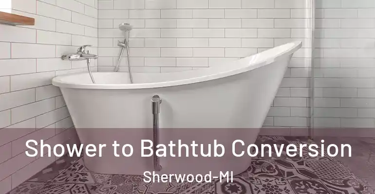 inner Bathroom imggen Shower to Bathtub Conversion Sherwood-MI