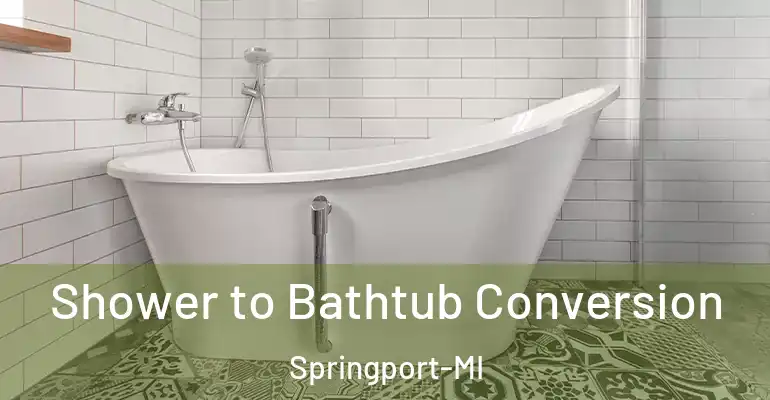 inner Bathroom imggen Shower to Bathtub Conversion Springport-MI