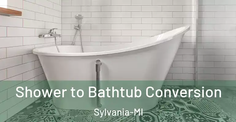 inner Bathroom imggen Shower to Bathtub Conversion Sylvania-MI