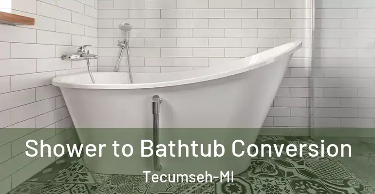 inner Bathroom imggen Shower to Bathtub Conversion Tecumseh-MI