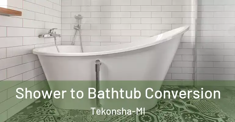 inner Bathroom imggen Shower to Bathtub Conversion Tekonsha-MI