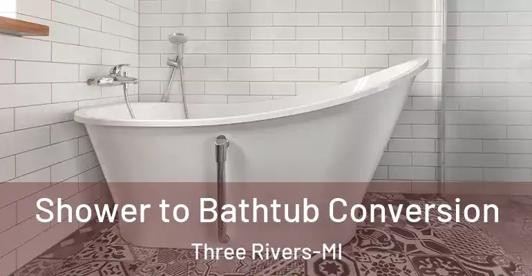 inner Bathroom imggen Shower to Bathtub Conversion Three Rivers-MI