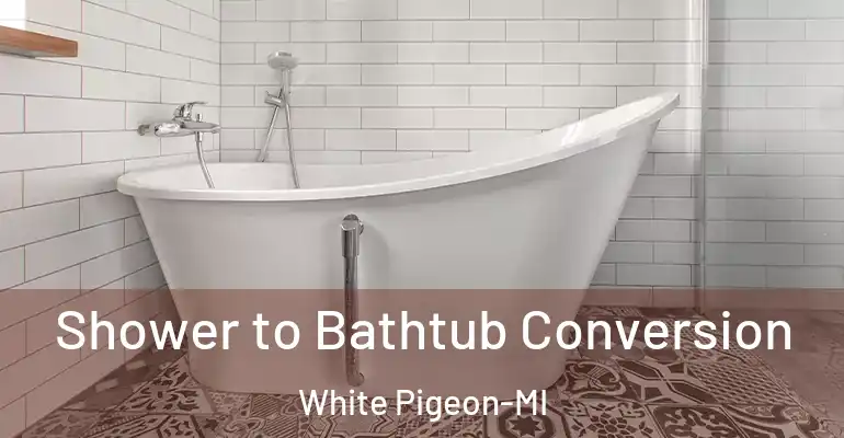 inner Bathroom imggen Shower to Bathtub Conversion White Pigeon-MI