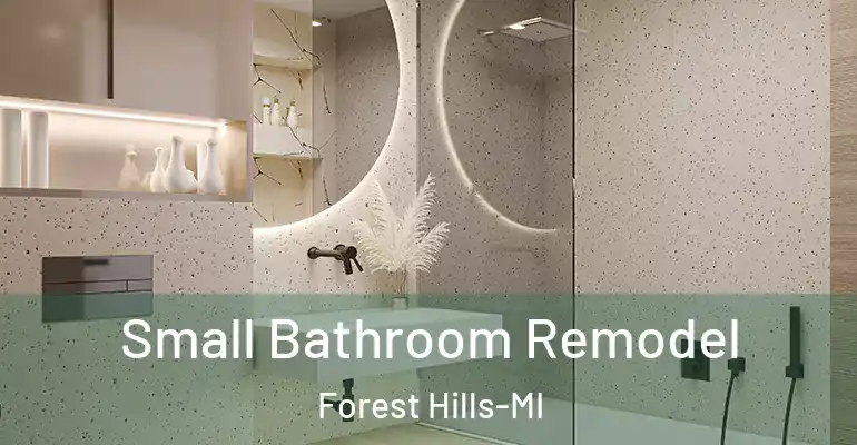 inner Bathroom imggen Small Bathroom Remodel Forest Hills-MI