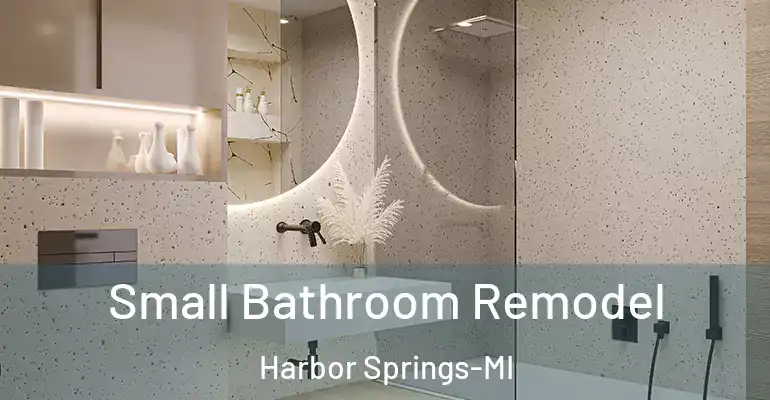 inner Bathroom imggen Small Bathroom Remodel Harbor Springs-MI