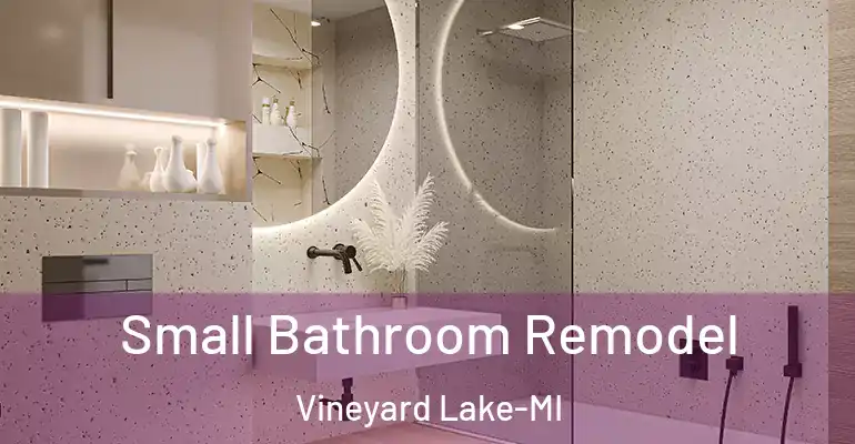 inner Bathroom imggen Small Bathroom Remodel Vineyard Lake-MI