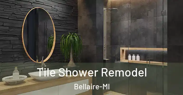 inner Bathroom imggen Tile Shower Remodel Bellaire-MI