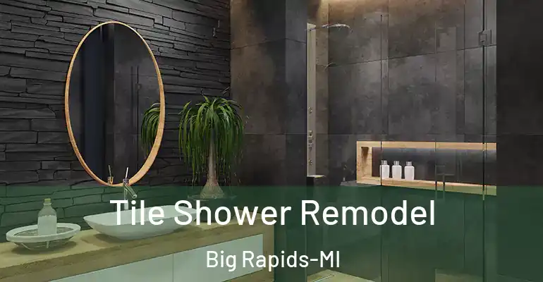 inner Bathroom imggen Tile Shower Remodel Big Rapids-MI